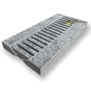 Blue Limestone flamed coping